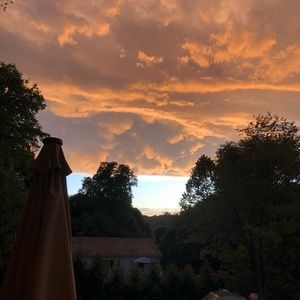 Meet your Posher, Carmela